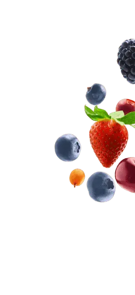 Flora-Vegan-Gluten-Free-Natural